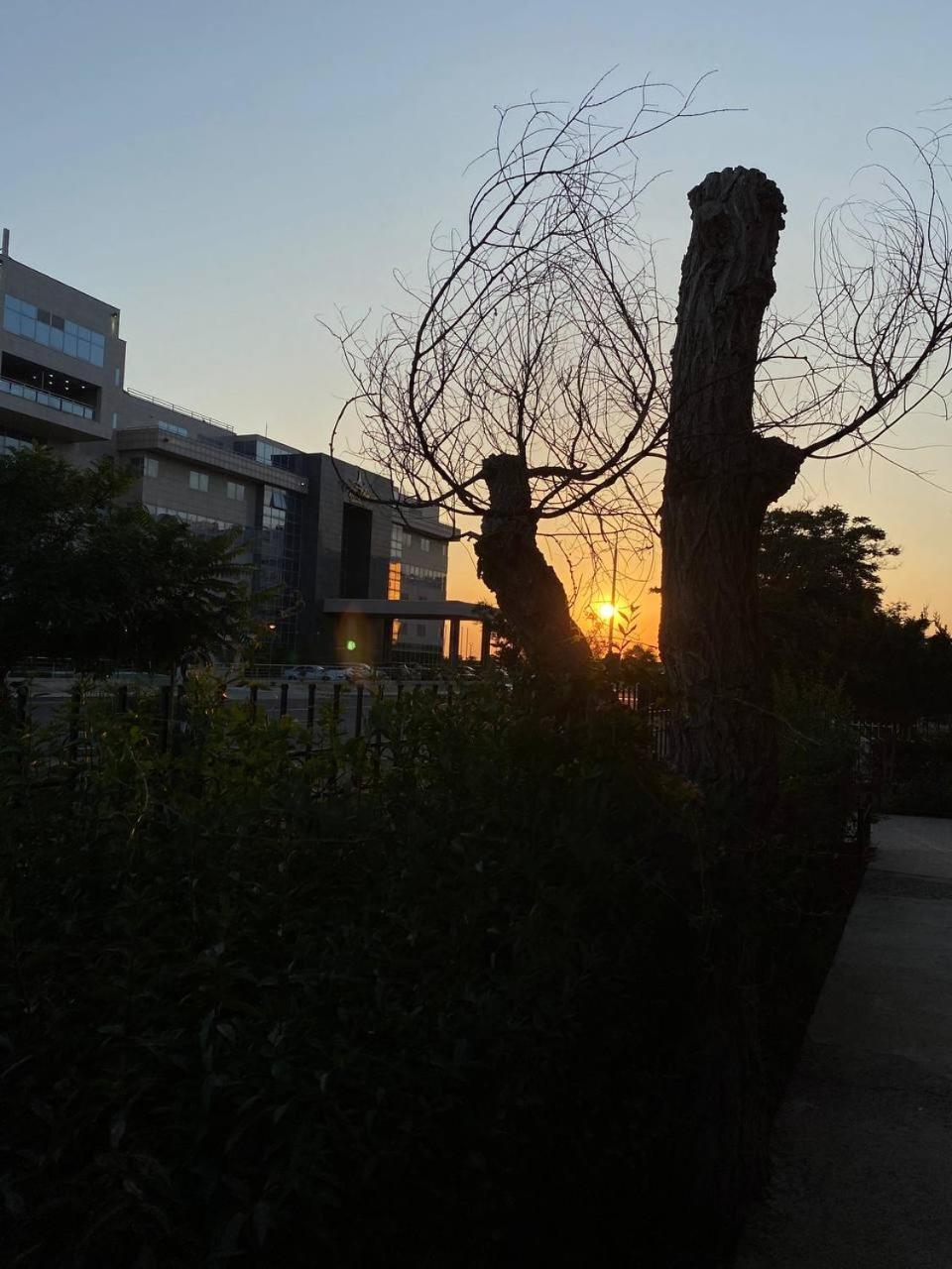 Mang'O Hostel Aktau  Kültér fotó